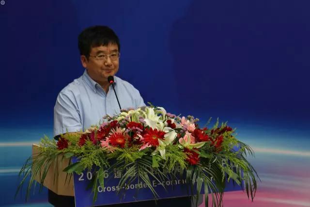 河北发展探析,观点探讨与展望