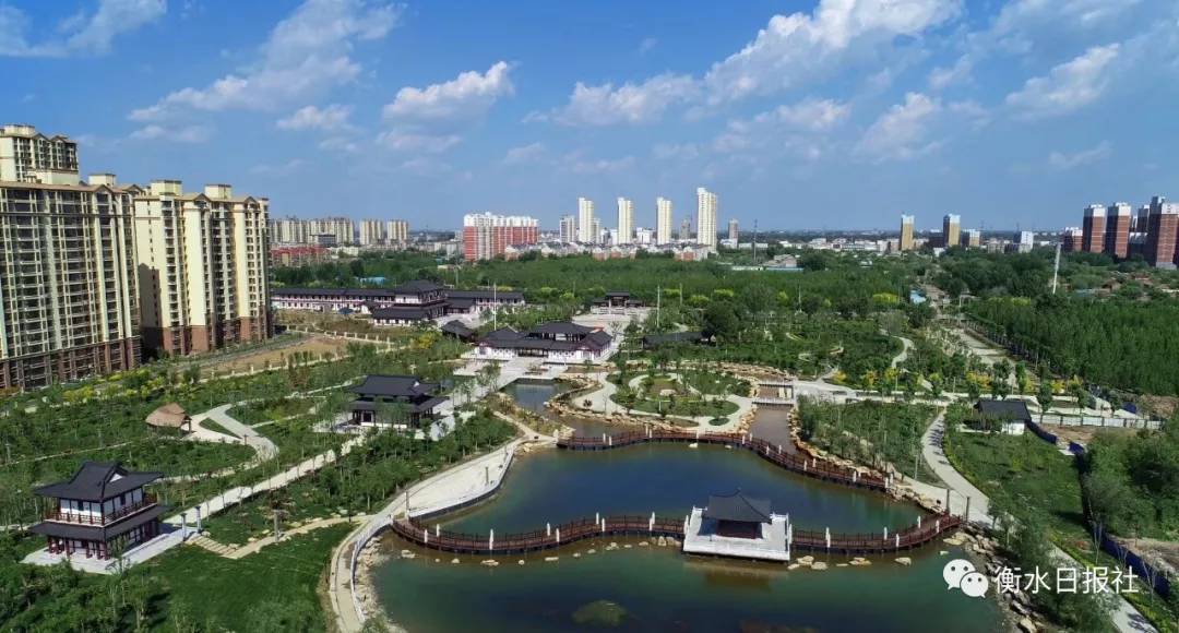 衡水教育改革，一场深度思考的启航